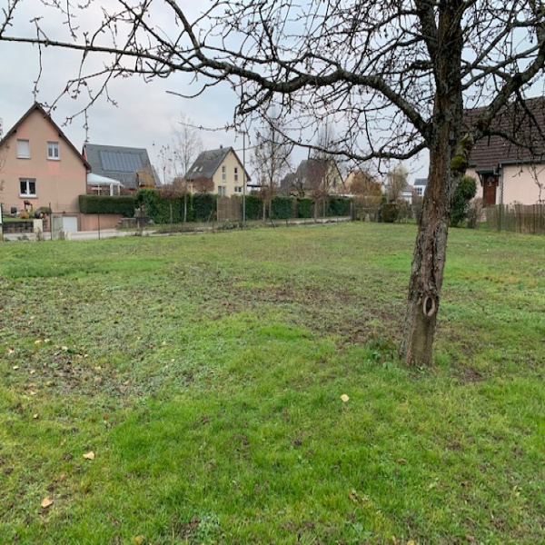 Offres de vente Terrain Burnhaupt-le-Bas 68520