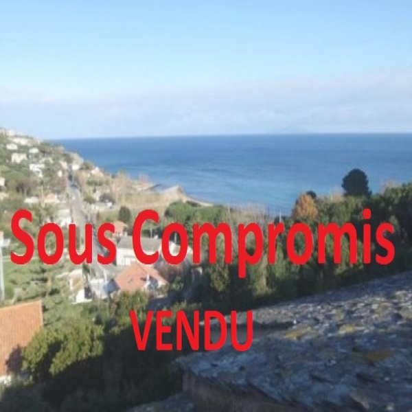 Offres de vente Terrain Sisco 20233